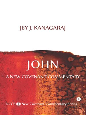 cover image of John